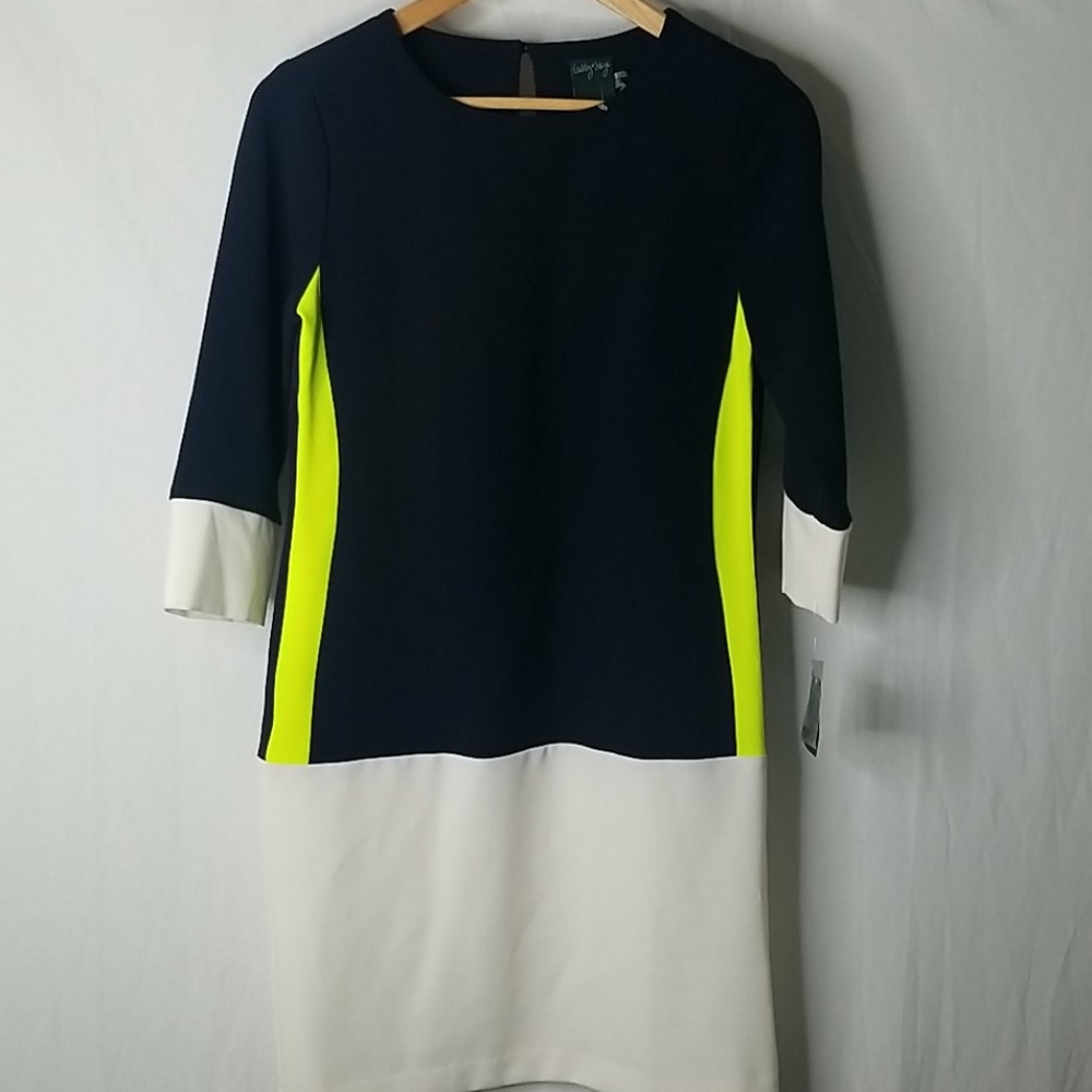 NWT Gabby Skye Color Block Dress. Size 4